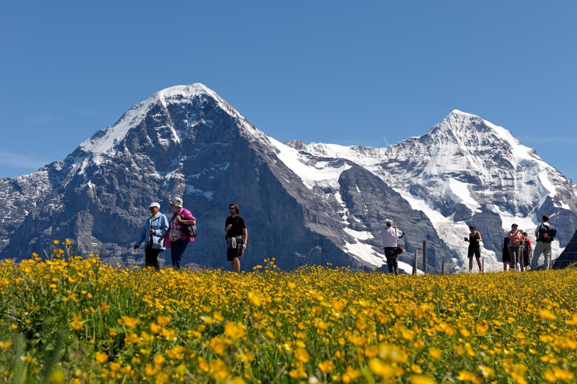 Parkhotel Schoenegg Grindelwald Exterior photo