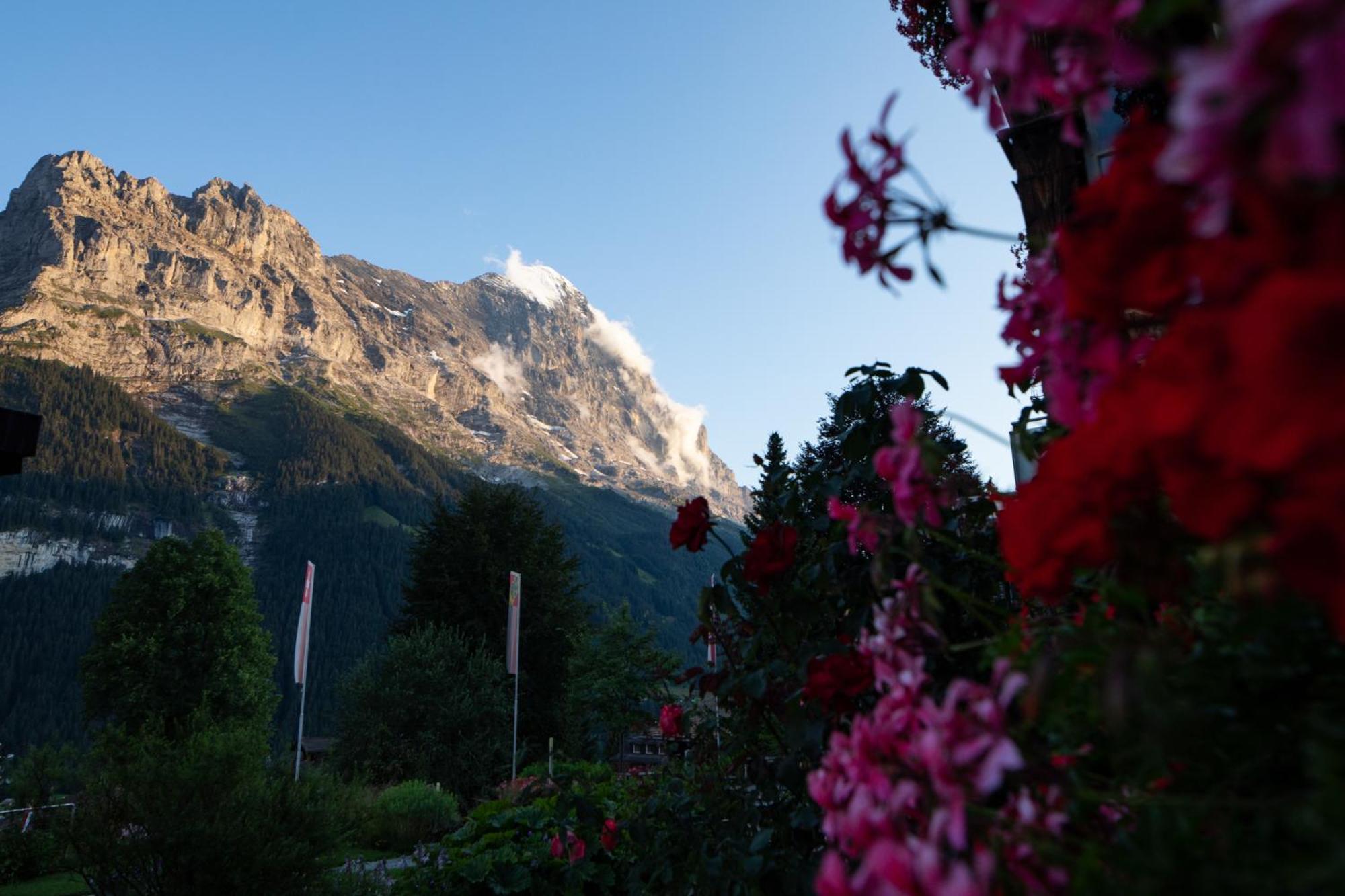 Parkhotel Schoenegg Grindelwald Exterior photo