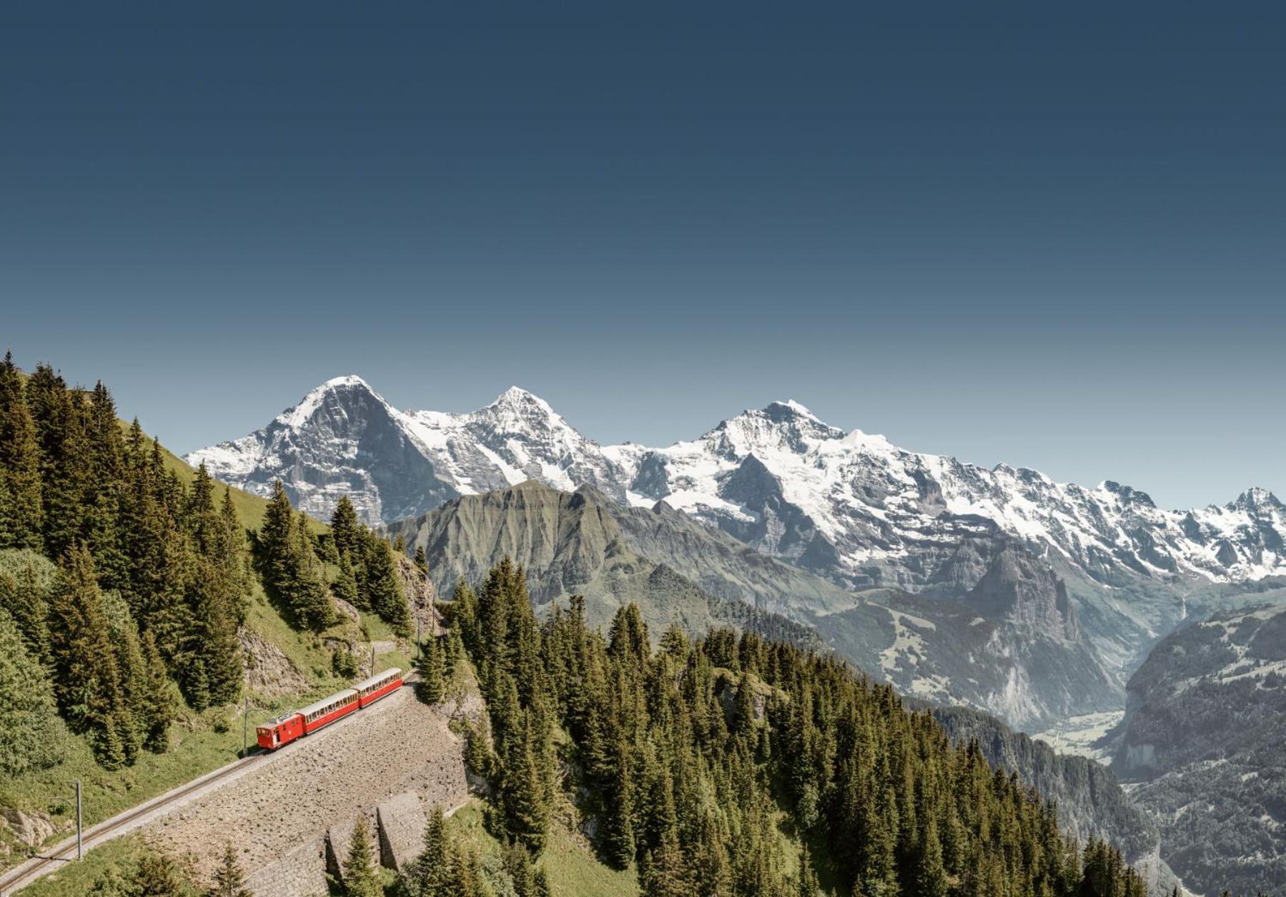 Parkhotel Schoenegg Grindelwald Exterior photo